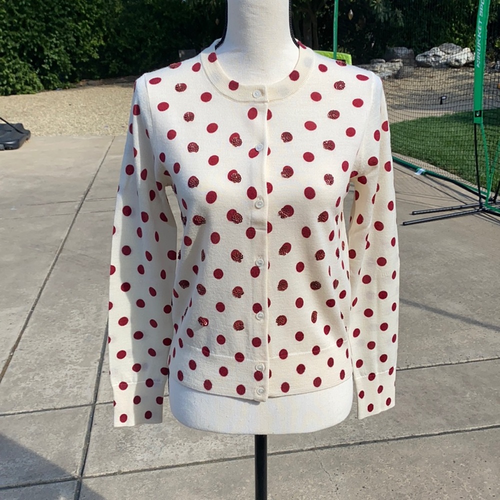 J.Crew Merino Wool Cardigan